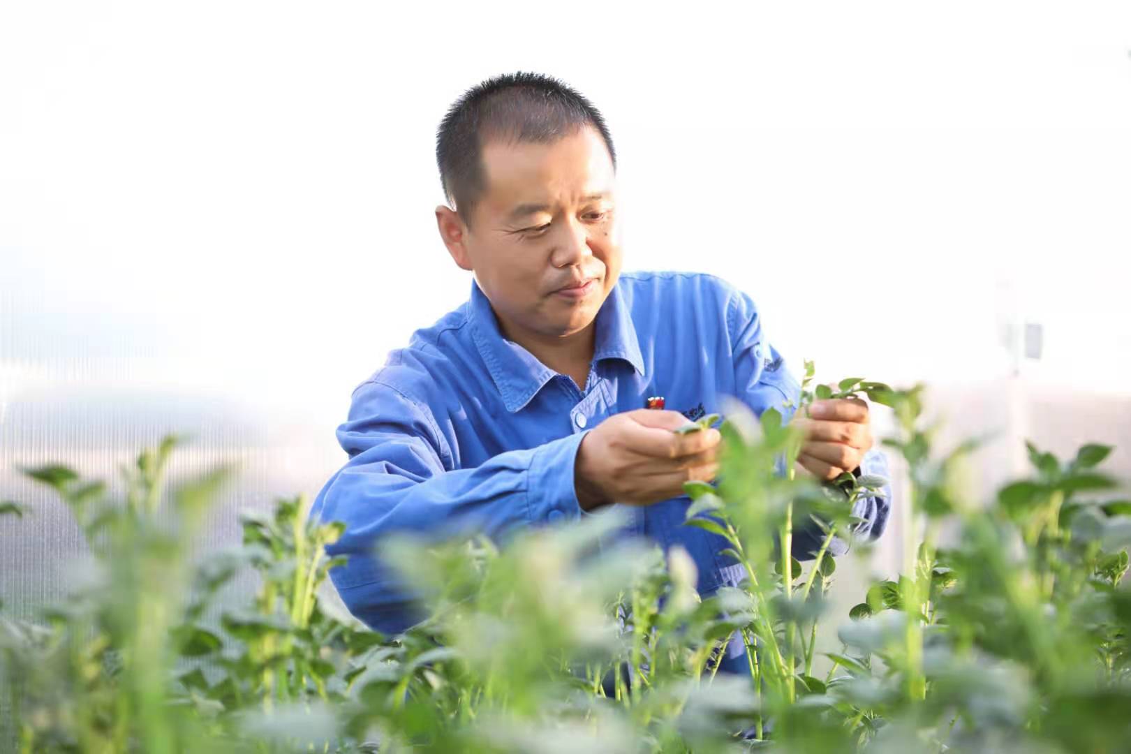 ������ʱ-�������ǲ�!